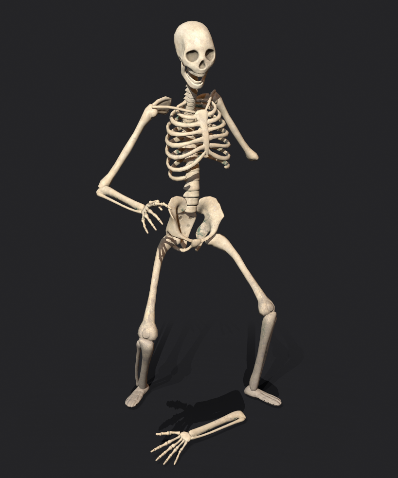 3D render of a skeleton on a black backdrop