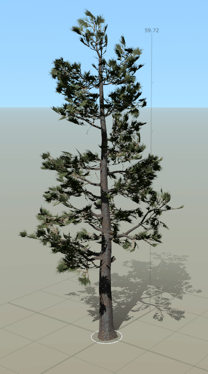 GIF of pine tree wafting in breeze in SpeedTree