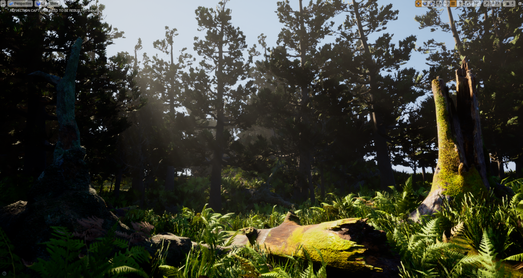 Environment test scene from Depths of Erendorn, made in Unreal Engine
