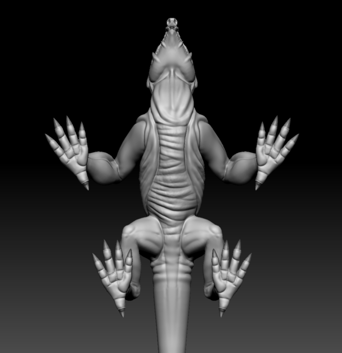 Upward shot of a Lizard model in ZBrush showing it's underbelly